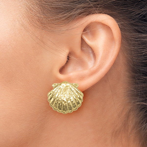 Large Seashell Studs